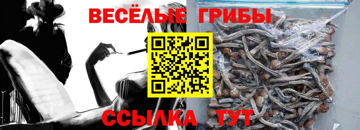 Псилоцибиновые грибы ЛСД Азнакаево