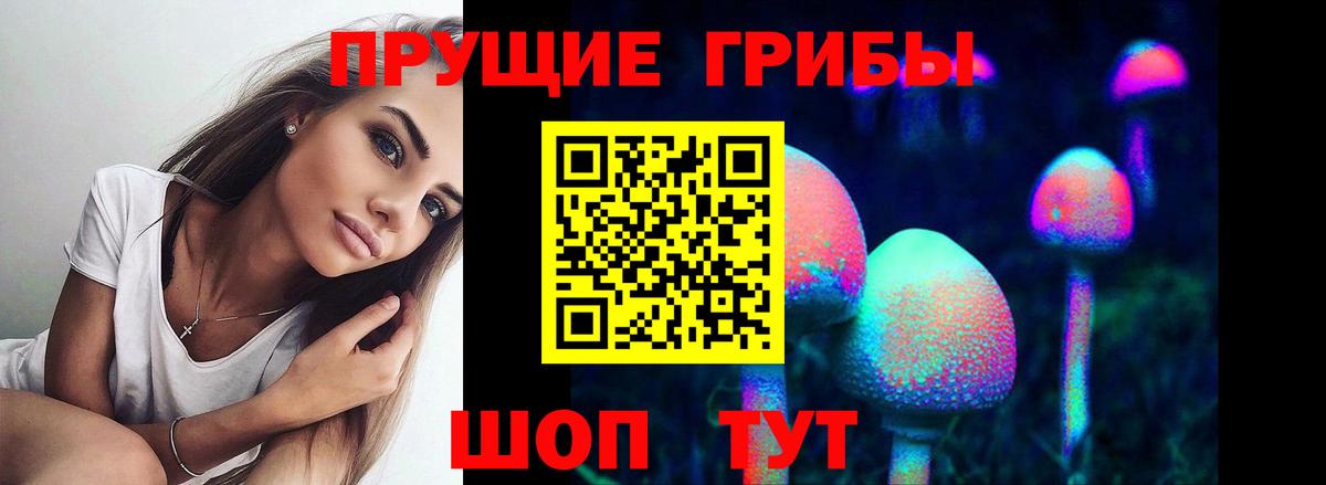 Азнакаево  Галлюциногенные грибы Magic Shrooms  купить наркотики сайты  Вход с VPN 